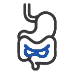 Gastrointestinal Gastrointestinal