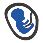 Obstetric / Gynaecological Obstetric / Gynaecological