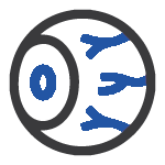Ocular Ocular