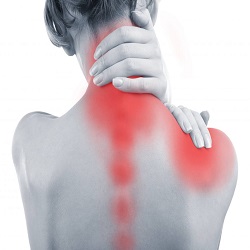 Neck Pain and Problems Neck Pain and Problems