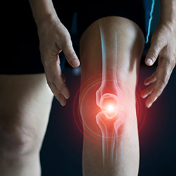 Knee Joint Pain Knee Joint Pain