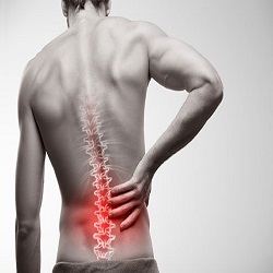 Back Pain Back Pain