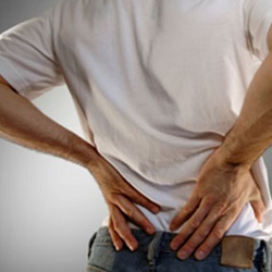 Low Back Pain Low Back Pain