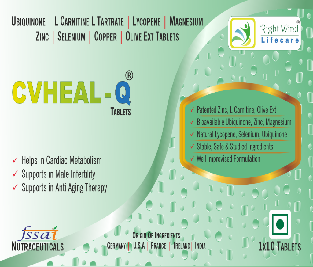 Heytorus-Live//product/202311/main/1701338951-620.png