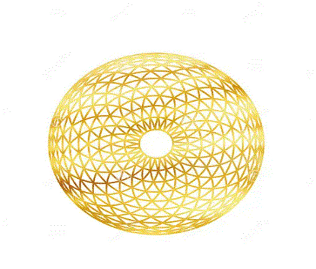 Heytorus-Live//product/202408/main/1724053242-306.jpg