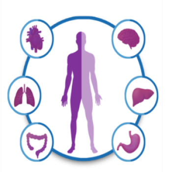 Full Body Checkup-Advance Plus